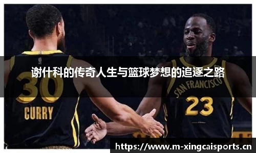 谢什科的传奇人生与篮球梦想的追逐之路