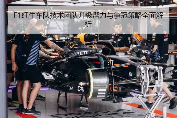 F1红牛车队技术团队升级潜力与争冠策略全面解析